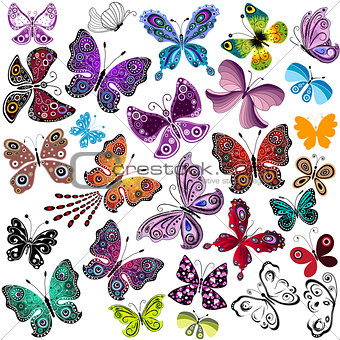 Big collection silhouette colorful butterflies 