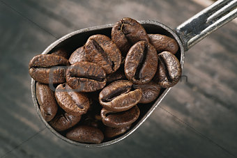 group of coffee beans on a spoon