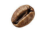 macro of coffee bean isolated