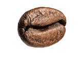 close up of coffee bean isolated