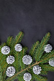 Christmas background with fir and silver cones