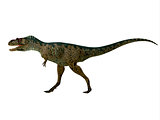 Albertosaurus Dinosaur Side Profile