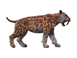 Saber-toothed Cat Profile