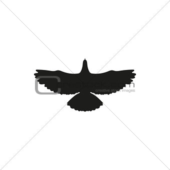 Bird pigeon go up. Simple black silhouette