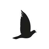 Post pigeon or dove . Vector illustration.