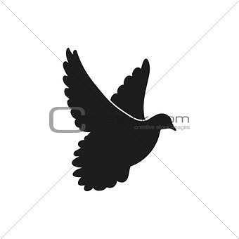 Flying black dove as symbol of peace