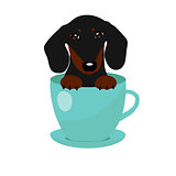 cute Dachshund dog in blue teacup, illustration, set for baby fashion