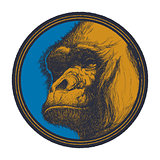 Gorilla Head Logo Mascot Emblem