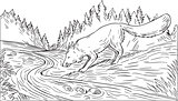Fox Drinking River Woods Black and White Drawing