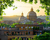 Vatican and nature