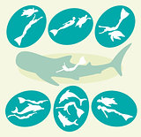 Adventure freediving. Collection of free divers and animal icons