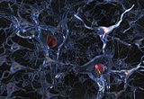 nerve cells net 3d illustration