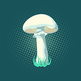 Vector illustration of mushroom