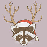 Raccoon vector illustration