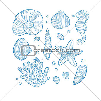 Set seashell, coral, seahorse, starfish and rocks isolated on white background.