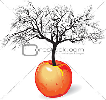 Vector - apple tree from fruit