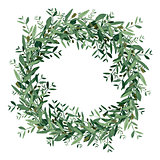 Watercolor olive wreath. 
