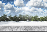 3D wooden table looking out to a winter landscape