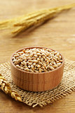 Natural organic wheat. Grain in a wooden bowl