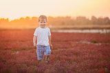 Happy little boy playing outdoors at sunset