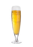 Glass of beer cider elegant with foam isolated
