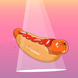 Hot-Dog vector illustration.