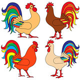 Set of four colourful Roosters