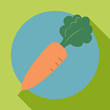 Carrot icon in the style of a flat design