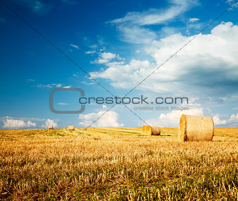 Summer Farm Scenery with Field and Haystacks