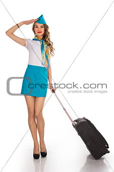 The young, beautiful stewardess holds baggage
