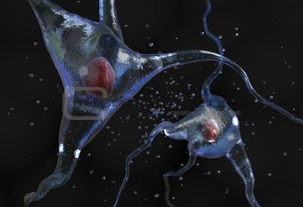Illustration of the human nerve cell 3d illustration