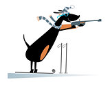 Dog a biathlon competitor