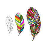 Art feather for your design