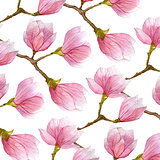 watercolor background with blossom magnolia branches. spring design.