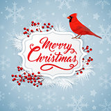 Christmas background with bird