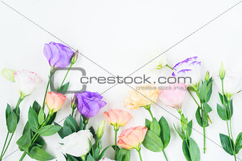 Pink, white and violet flowers