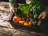 Organic vegetables on wood