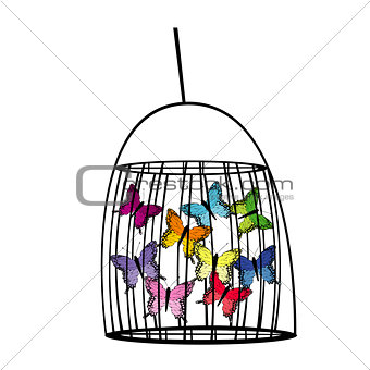 Captive butterflies in a cage