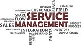 word cloud - service management