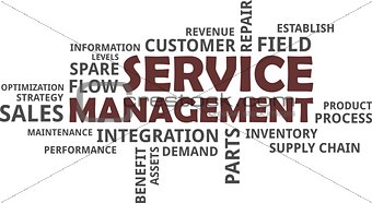 word cloud - service management
