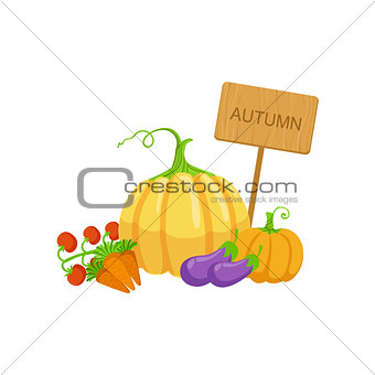 Vegetable Crops As Autumn Attribute
