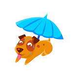 Puppy Sweating Under Umbrella On The Beach