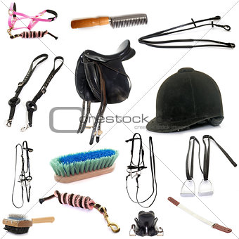 equipments of horse riding