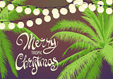 Christmas palm trees with colorful garland