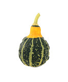 Green ornamental squash with yellow neck, green stripes and bump