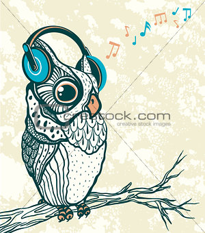 Graphic owl with headphones. Music vector.