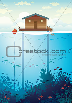 Coral farm - house on stilts and coral reef.