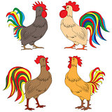 Set of four colourful amusing Roosters