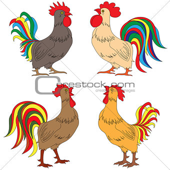Set of four colourful amusing Roosters