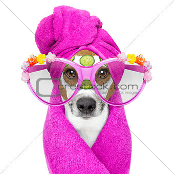 dog with a beauty mask wellness spa
